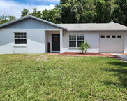 12 Cypress Drive, Palm Harbor image