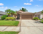 519 Cypress View Drive, Oldsmar image