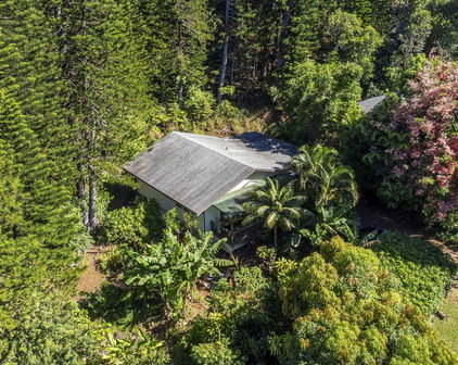 998 Kauhikoa Rd Unit #4, Haiku