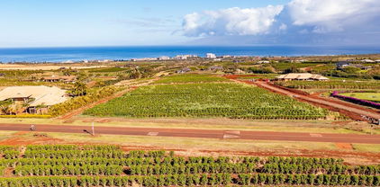 821 Aina Mahiai St Unit Lot 23, Lahaina