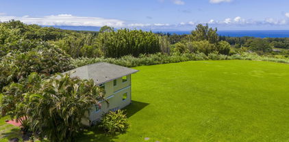 654 Kaupakalua Rd, Haiku