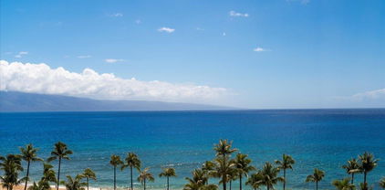 50 Nohea Kai Dr Unit 2-1105, Lahaina