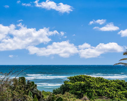 658 Waiehu Beach Rd, Wailuku