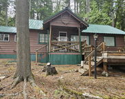 57 Neopit, Priest Lake image