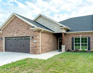 71 Cherokee Dr, Shelbyville image