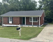 313 Memorial Dr, Shelbyville image
