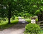 1101 Reed Ln, Simpsonville image