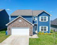2154 Carnegie Drive Dr, Shelbyville image