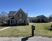 245 Van Buren Rd, Mt Eden image
