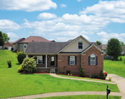 453 Daylilly Ct, Shelbyville image