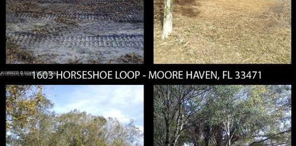 1603 Horseshoe Loop, Moore Haven