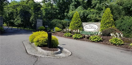 Lot 20 Jewel Weed Trail, Newland