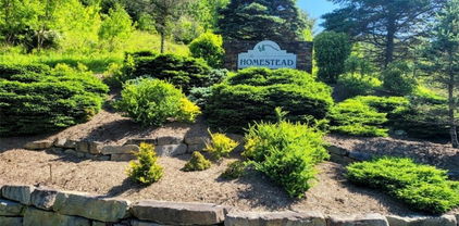 TBD Lucky Leaf Lane, Vilas