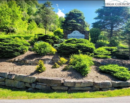 TBD Lucky Leaf Lane, Vilas
