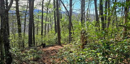 TBD Summit Rise Drive, Boone