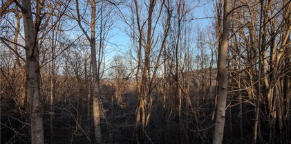Lot# 22 Autumn Ridge, Lenoir