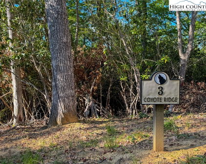 Lot R3 Coyote Trail, Boone