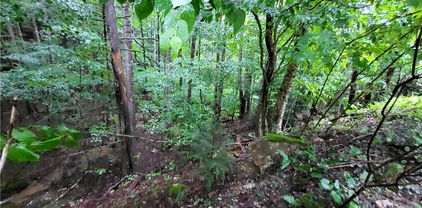 143 Raccoon Road, Beech Mountain