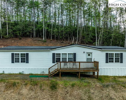 1720 Mining Town Road, Mountain City