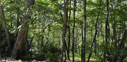 TBD Rocky Mountain Road, Sparta