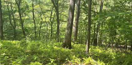 Lot 66 Bob Timberlake Drive, Boone