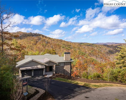 1121 Ninebark Road, Boone