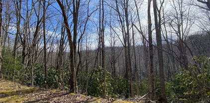 Gum Tree Road, Beech Mountain