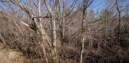 708 SE Chatsworth Street, Lenoir