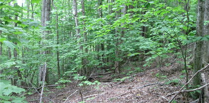 120 SASSAFRASS RD, Beech Mountain