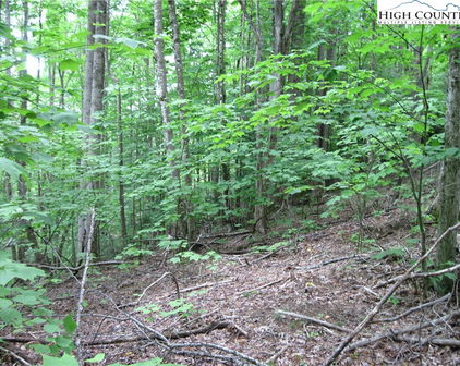 120 SASSAFRASS RD, Beech Mountain