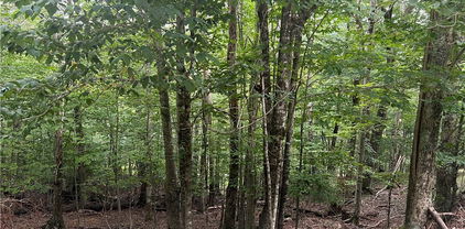 117 Lower Grouse Ridge Road, Beech Mountain