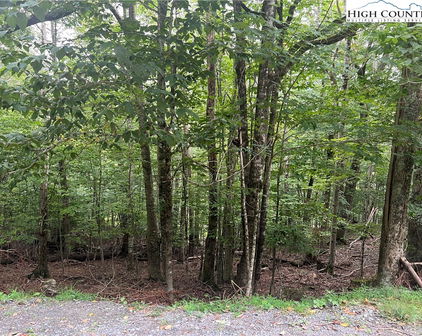 117 Lower Grouse Ridge Road, Beech Mountain