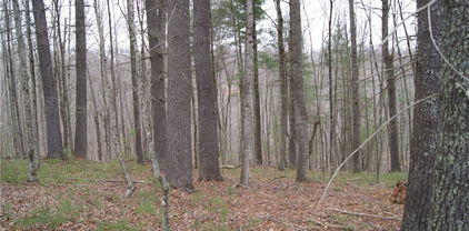 Lot 74 Forest Hill Drive, Sparta