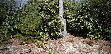 Lot 3 Dream Forest Path, Banner Elk