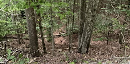 145 Raccoon Road, Beech Mountain