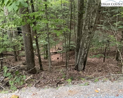 145 Raccoon Road, Beech Mountain