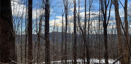 Lot 60 Elk Creek Mountain Parkway, Todd