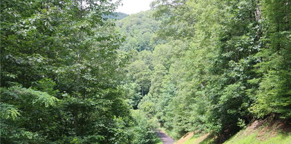 TBD Elk Mountain Loop, Newland