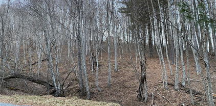 Lot 55 Laurel Mountain Drive, Sparta