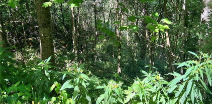 Lot 7 Old Barn Road, Vilas