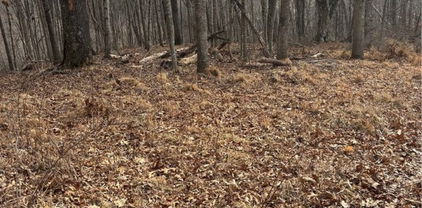 TBD Pioneer Ridge, Piney Creek