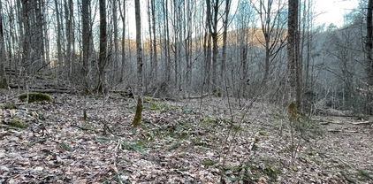 Dark Ridge Road, Elk Park