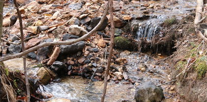 Lot 81 Colby Miller Drive, Jefferson