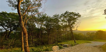 TBD Elderberry Ridge Road, Beech Mountain