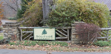 TBD Lot 14 Solitude Ln, Todd