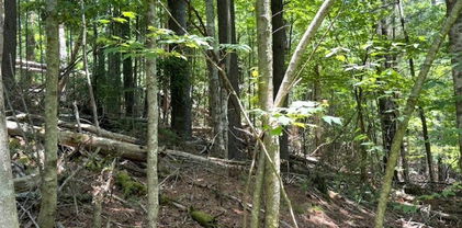 TBD Apple Canyon Drive, West Jefferson
