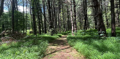 LOT 8 Rivers Edge Drive, Boone