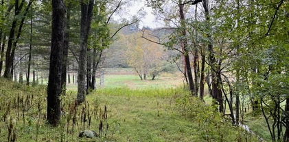 1 Old Boyer Ferry Rd., Galax