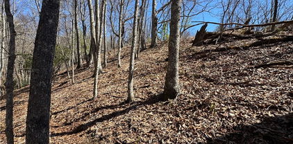 TBD Isabelle Rose Way, Piney Creek