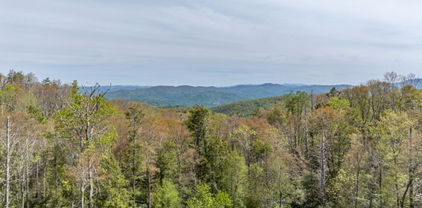 77 N Eagles Nest Trail, Elk Park